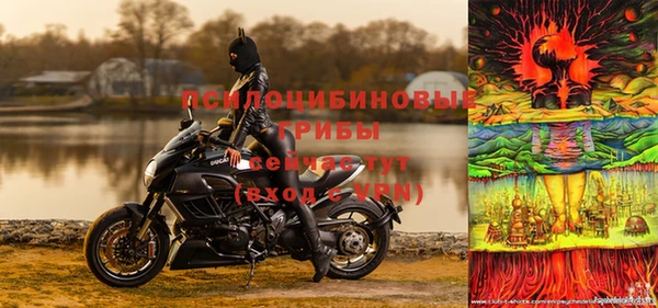 гашик Пестово
