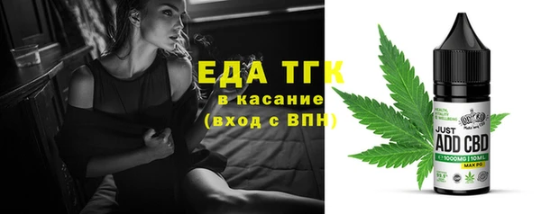 стаф Щёлкино