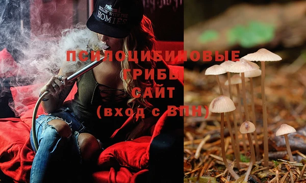марки nbome Пересвет