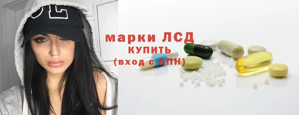 гашик Пестово