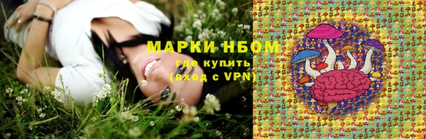 гашик Пестово
