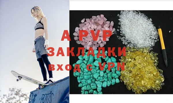 гашик Пестово