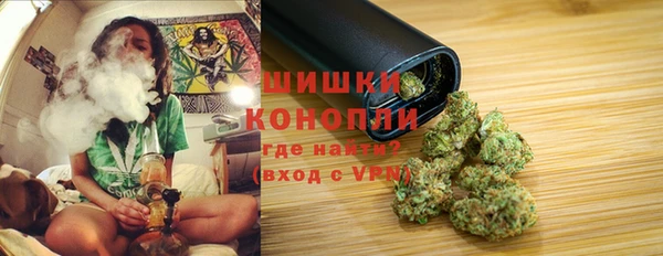 мет Елабуга