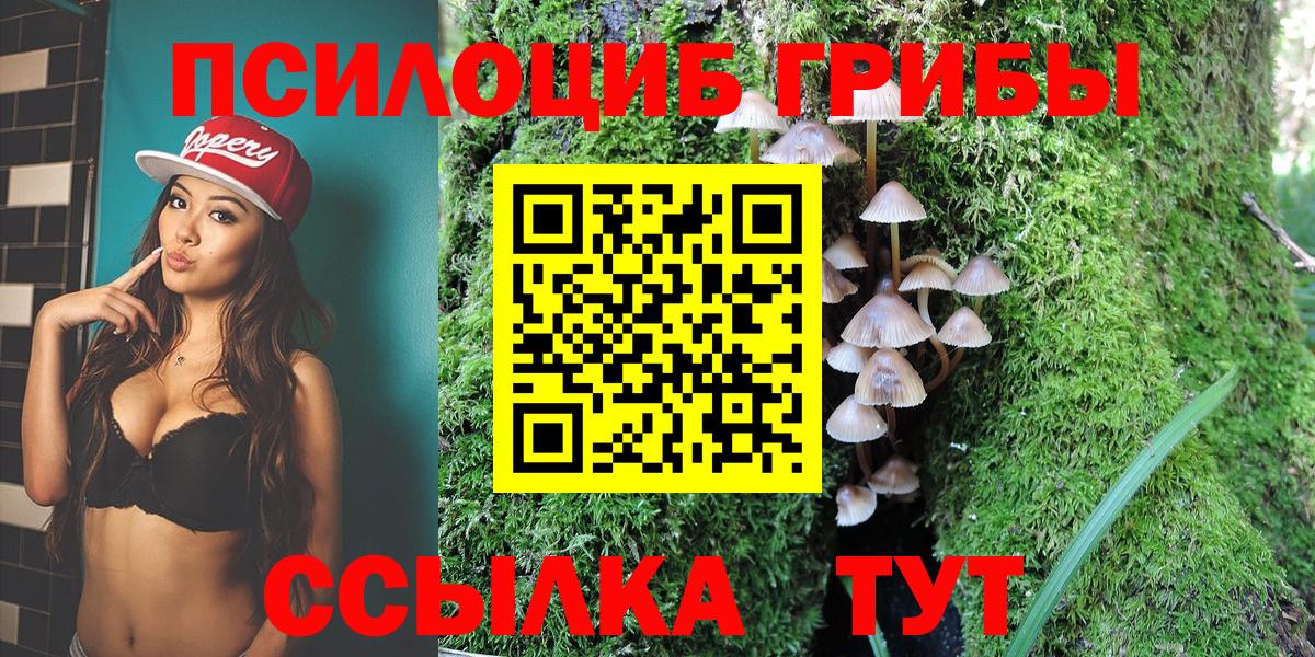 Рузаевка  Псилоцибиновые грибы прущие грибы  Вход с VPN 