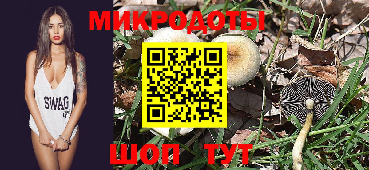 Галлюциногенные грибы Cubensis Рузаевка