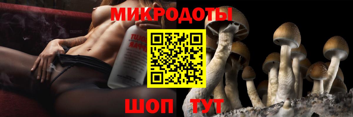 Псилоцибиновые грибы GOLDEN TEACHER Рузаевка