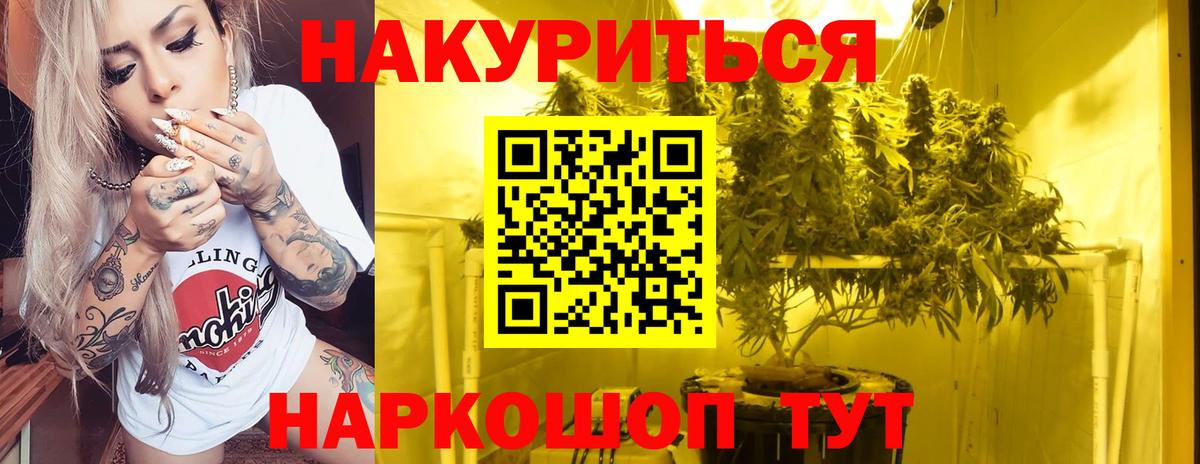 Конопля планчик Рузаевка